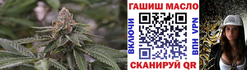 где найти Злынка МЕГА зеркало ТГК концентрат
